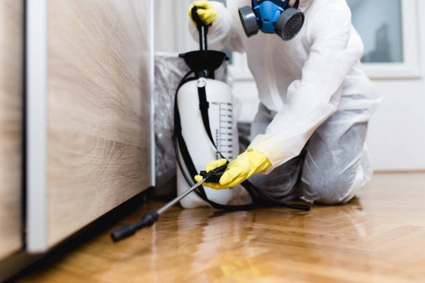 Best Commercial Pest Control Services  in Hayfork, CA