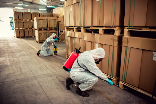 Professional Pest Control in Hayfork, CA