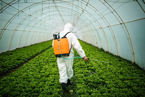 Best Insect Control  in Hayfork, CA