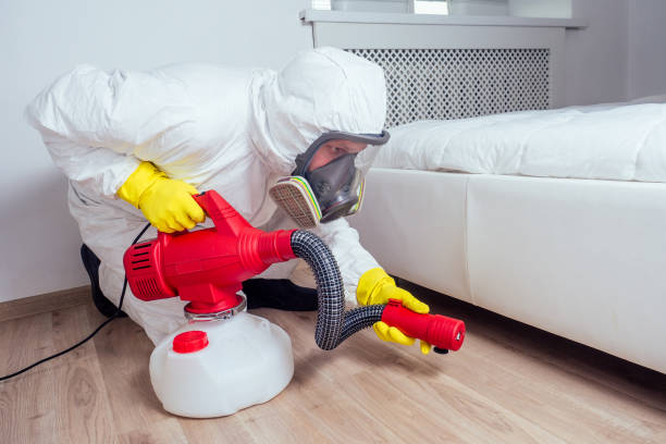 Best Pest Prevention Services  in Hayfork, CA
