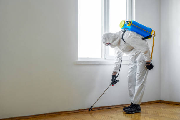 Pest Control Cost in Hayfork, CA