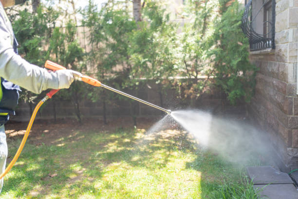 Best Wasp Removal Services  in Hayfork, CA