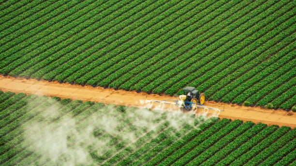 Best Ant Control Services  in Hayfork, CA