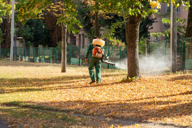 Best Pest Removal Services  in Hayfork, CA
