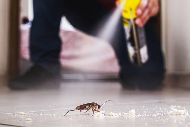 Best Best Pest Control Companies  in Hayfork, CA